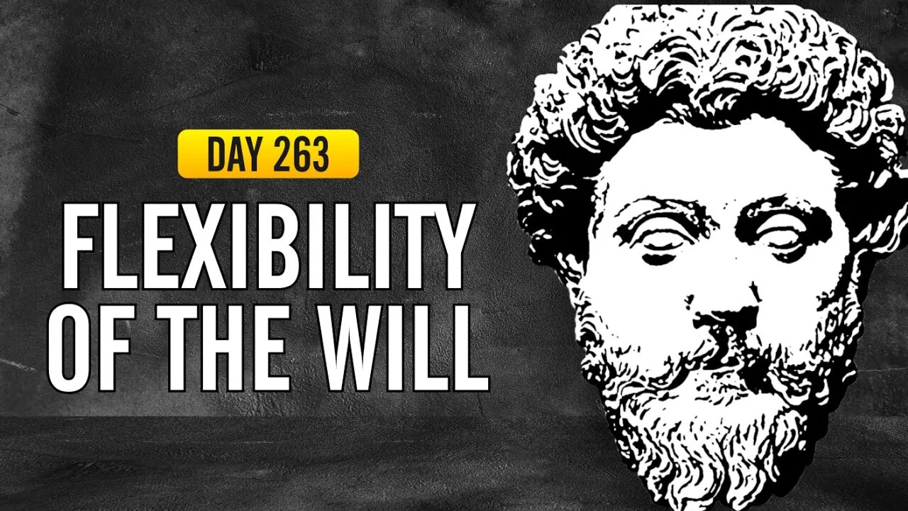 Flexibility of the Will - DAY 263 - The Daily Stoic 365 Day Devotional