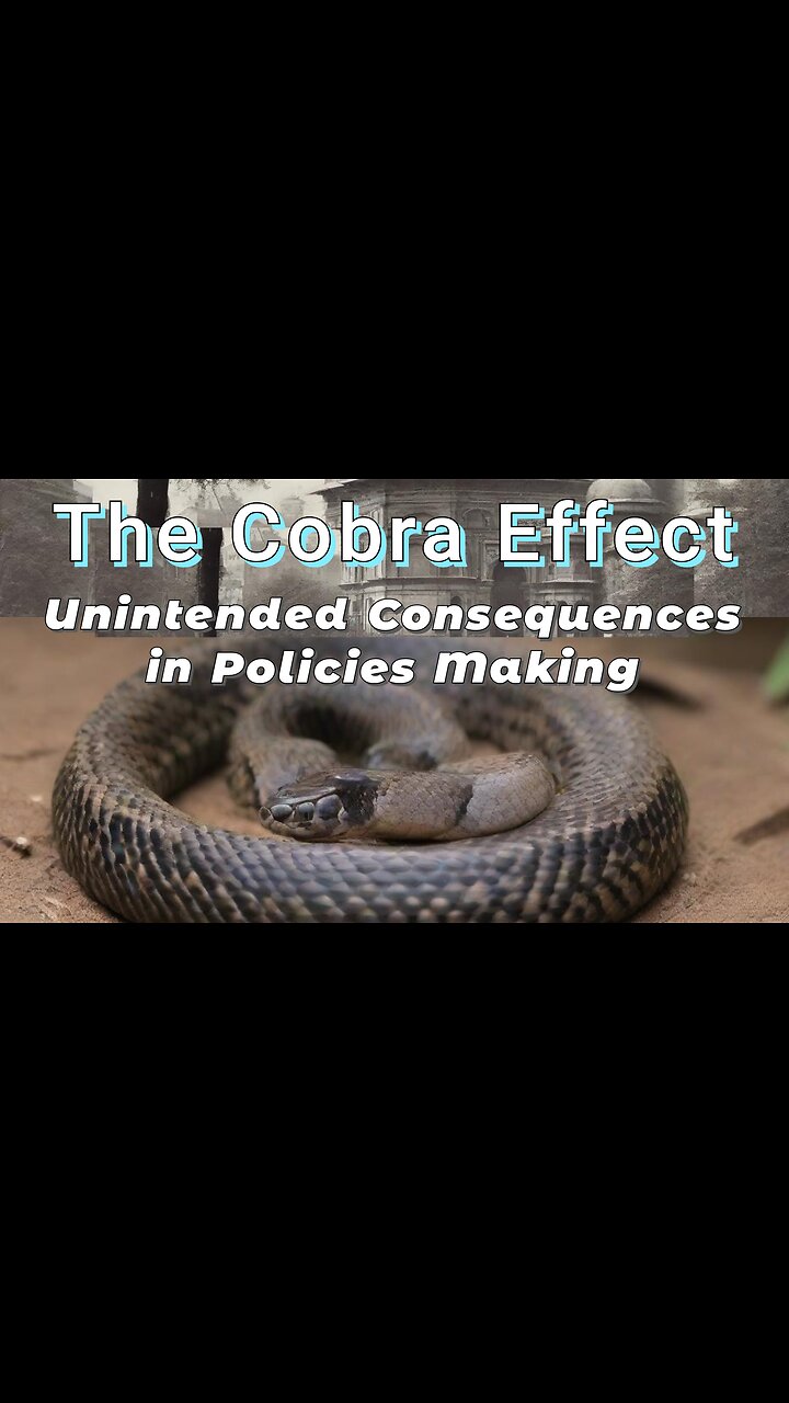 Unintended Consequences In Policies Making