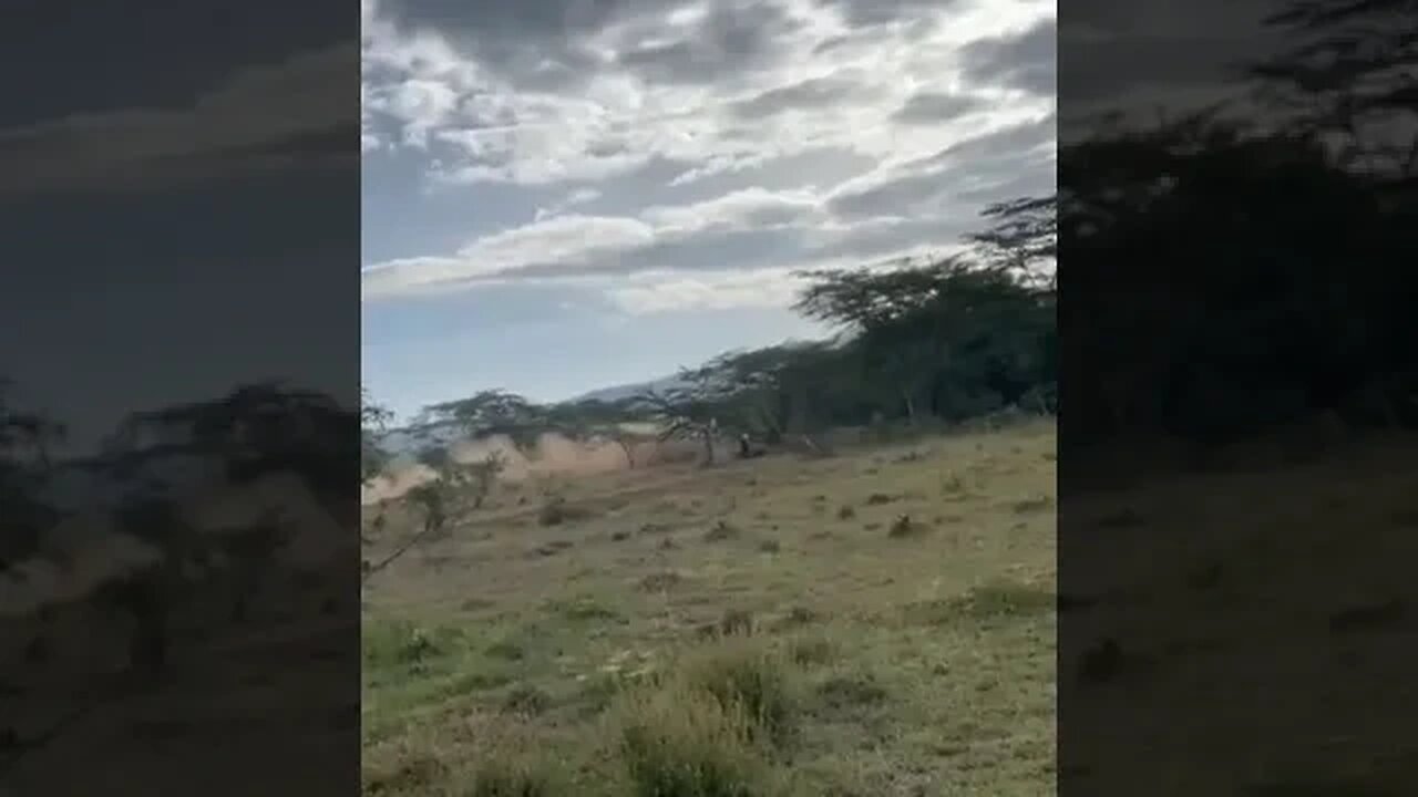 Losing control in a rally