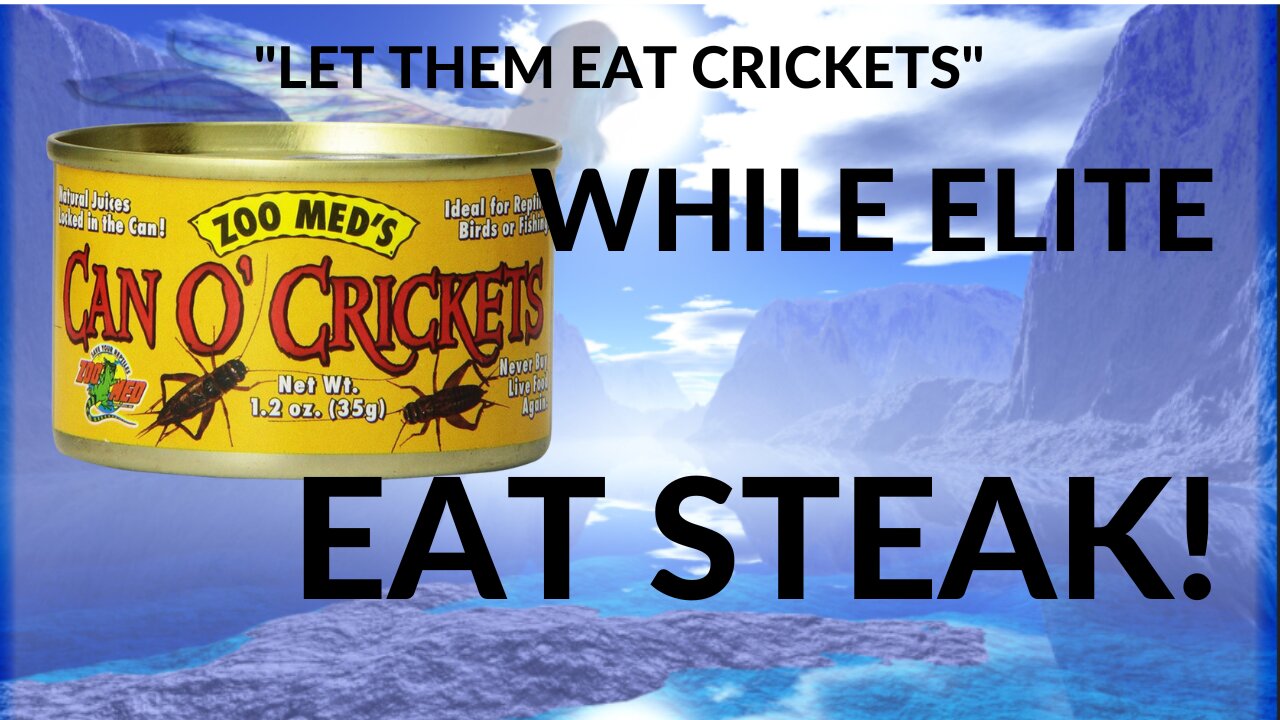 APPROVED TWO INSECTS FOR HUMAN CONSUMPTION - POWDERED HOUSE CRICKETS