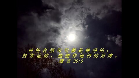 今天的每日聖經經文Jīntiān de měi rì shèngjīng jīng wén