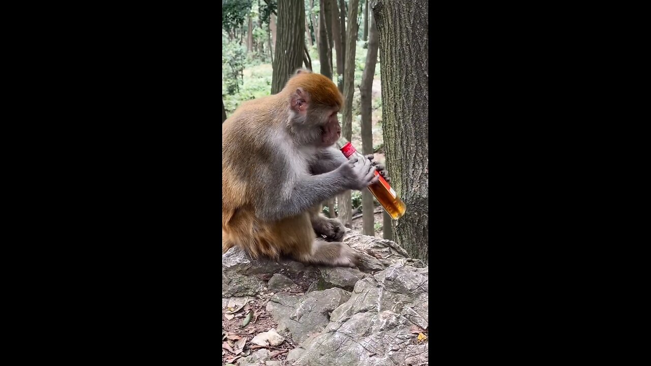 🤠