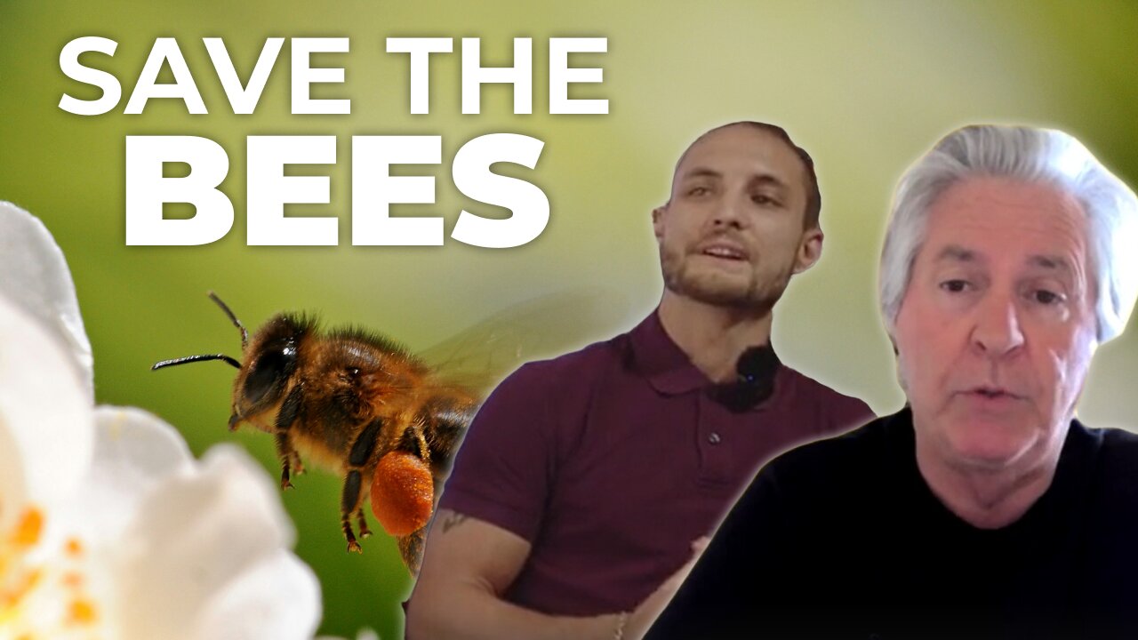 SAVE THE BEES , SAVE THE WORLD BEE BRAVE