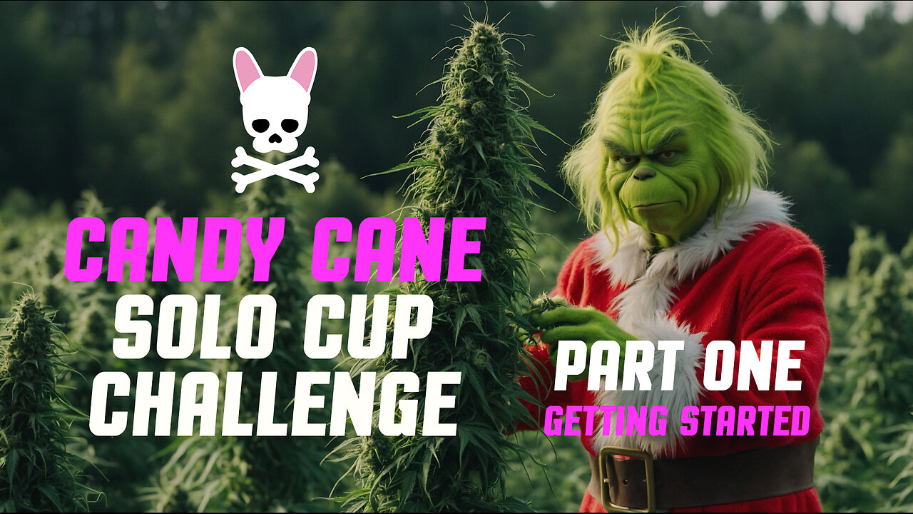 Grow Cup - Solo Cup Challenge - Episode 1 - Candy Cane Auto