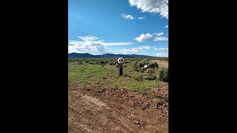 Panda Between Antonito, Colorado & Taos, New Mexico | Mile Marker 279 Near Jonathan Dunn Bridge