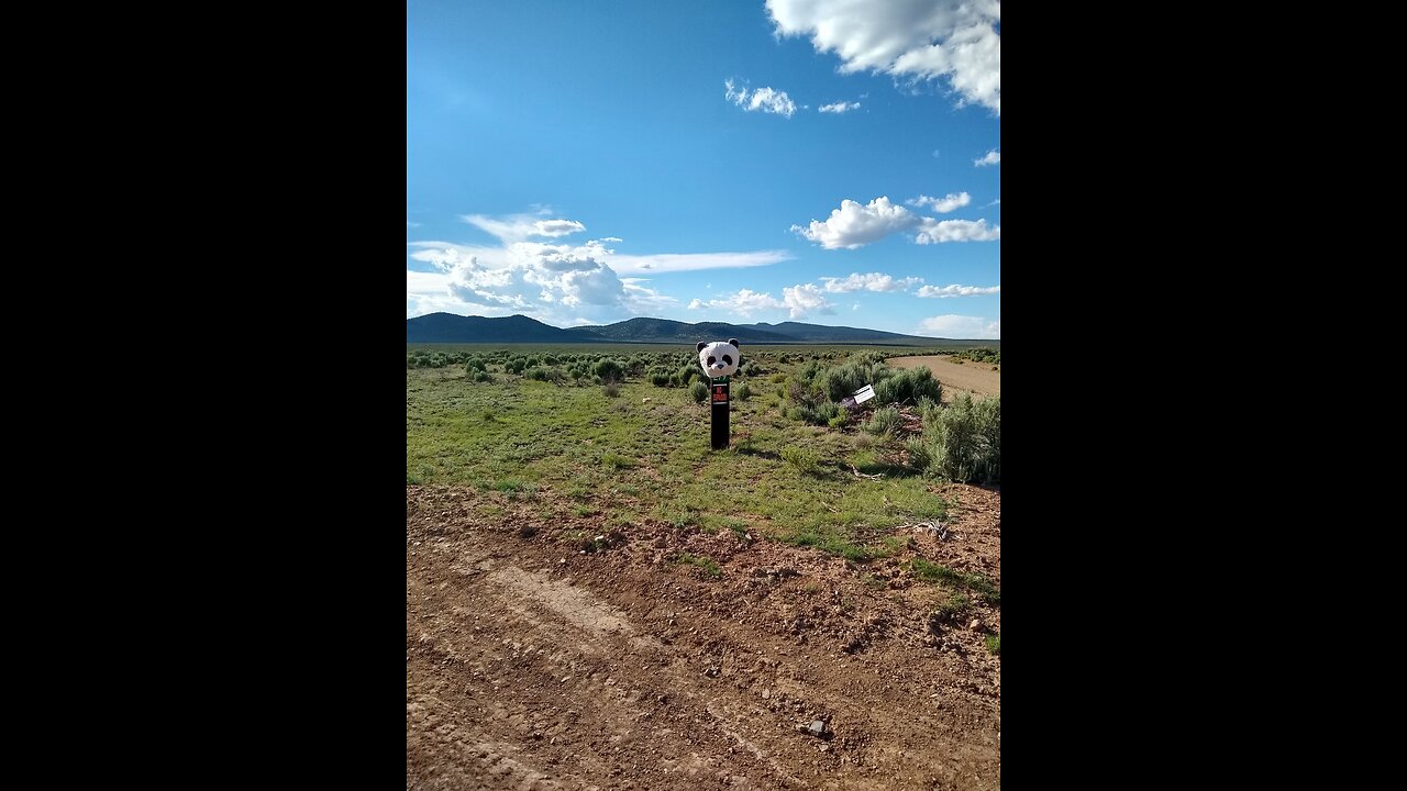 Panda Between Antonito, Colorado & Taos, New Mexico | Mile Marker 279 Near Jonathan Dunn Bridge