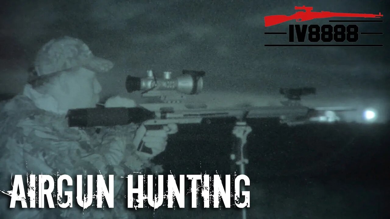 Airgun Predator Hunting 101