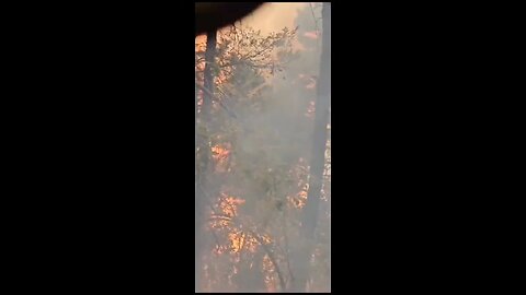 Fire in Himalayan.... May 2024.... Famous hindu temple also under fire.