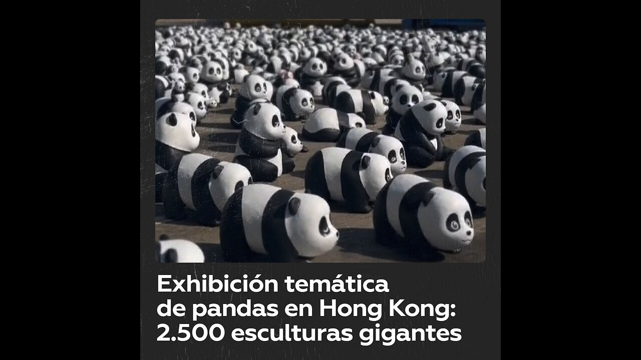 Exposición temática de pandas gigantes arranca en Hong Kong