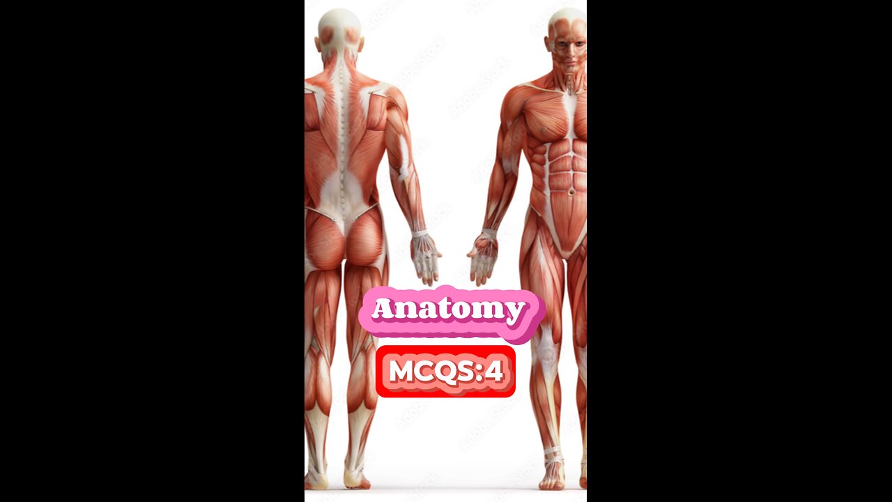 Anatomy MCQS #physical #quiz #mcqs #Nclex #nurses #doctor #short, #3Dmedico #short