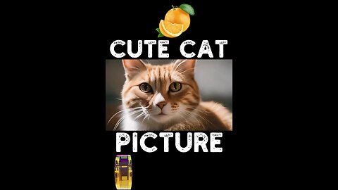 Cute Cat Picture