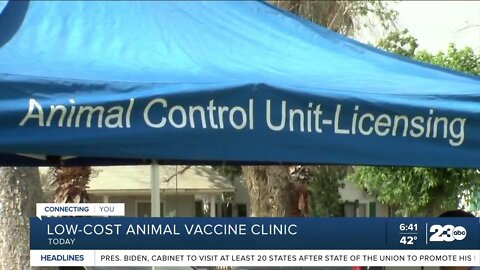 Low-cost animal vaccine available at Beach Park