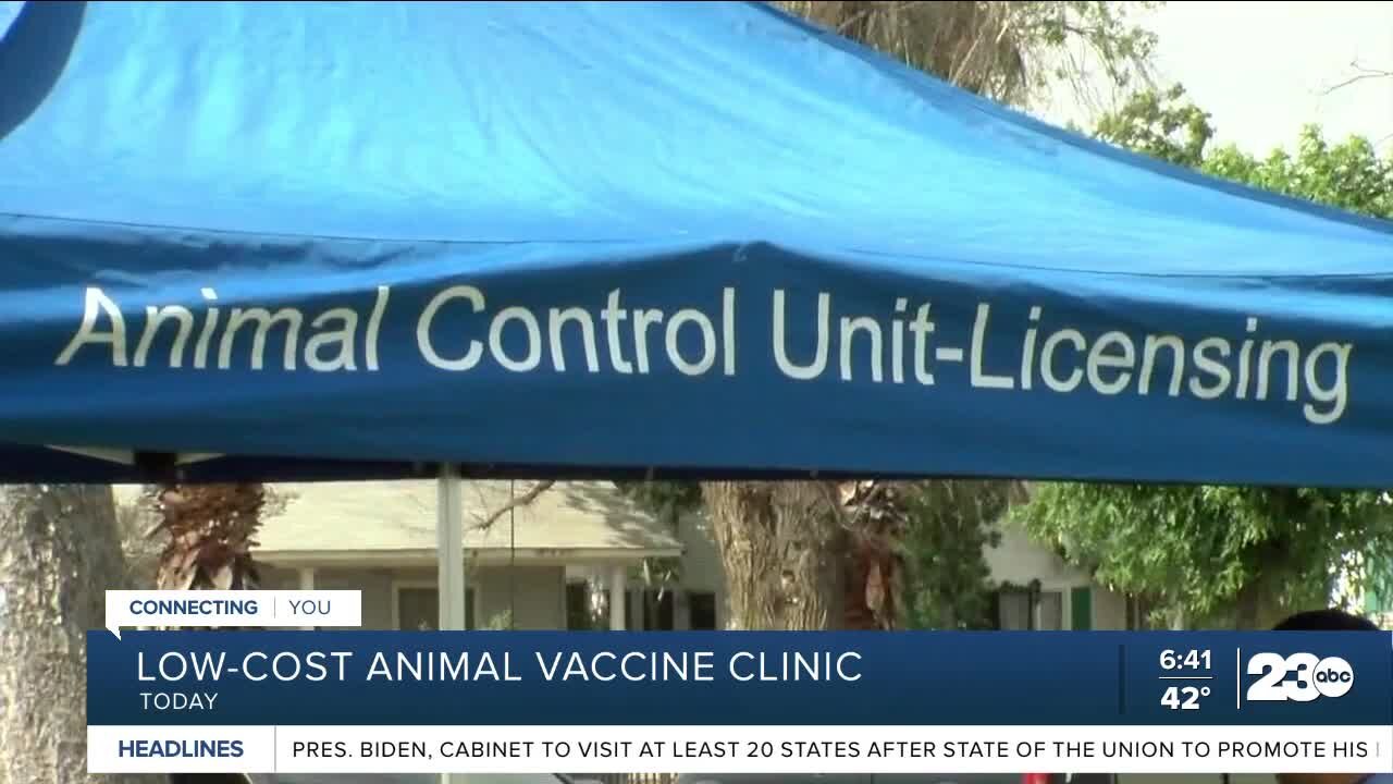 Low-cost animal vaccine available at Beach Park