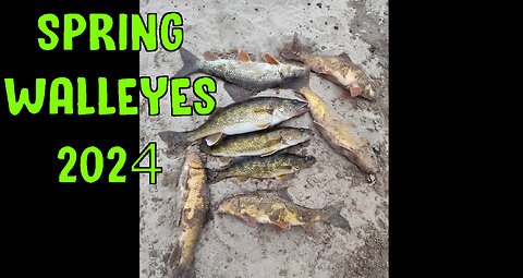 Spring Walleyes 2024