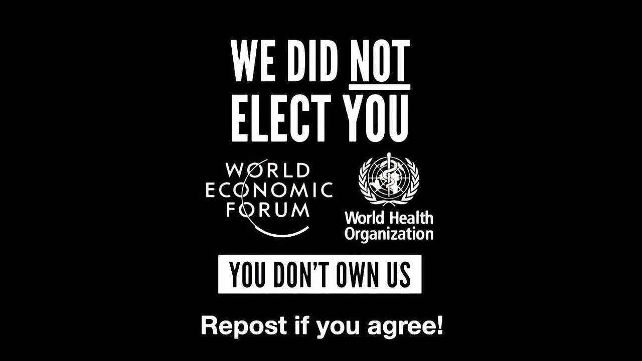 We did not elect you."The United Nations Pledge for the Future has been adopted."