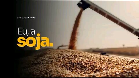 A soja tem muito importância para a alimentação humana e para animais.