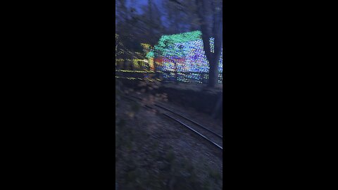 Silver Dollar City Christmas Lights 2024