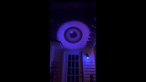 The eye