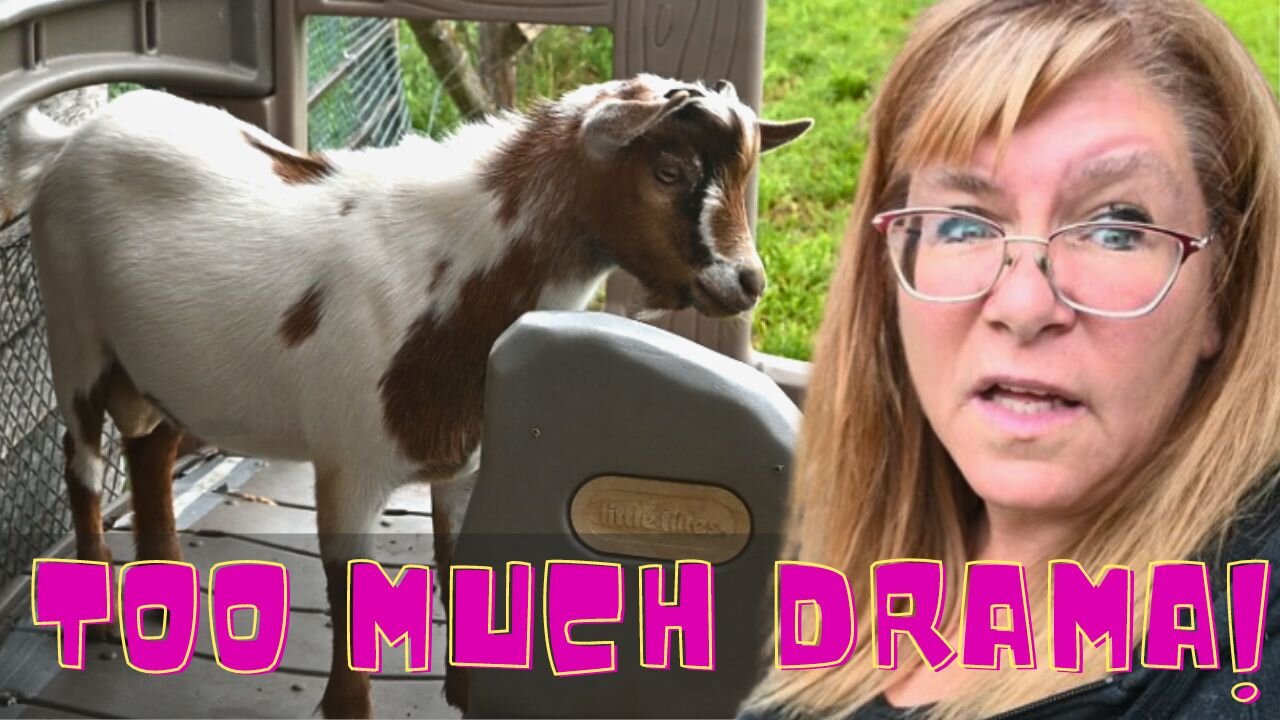 I Am So Finished With Goats!