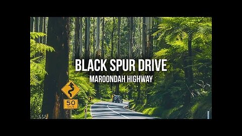 Black Spur Drive - Australia