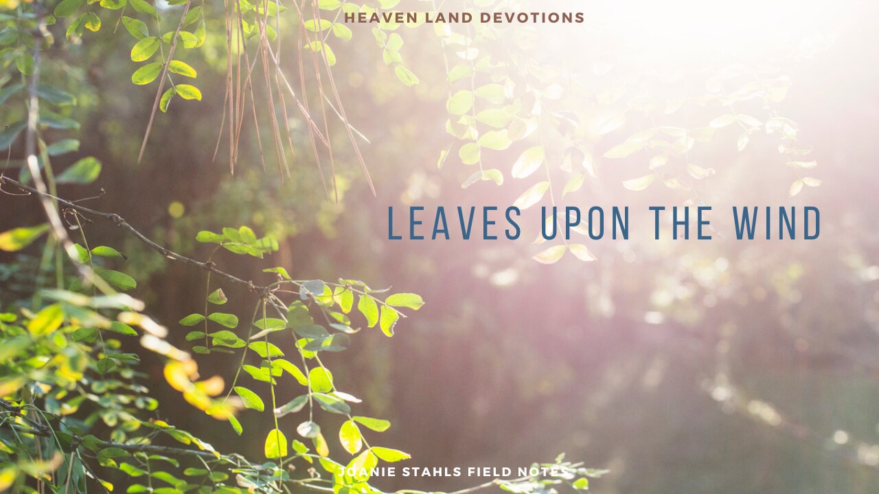 Heaven Land Devotions - Leaves Upon The Wind