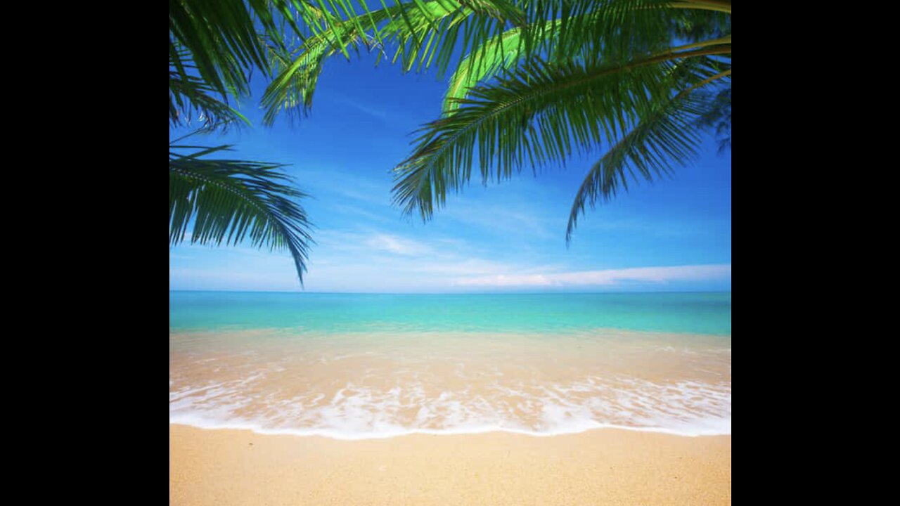 Relax