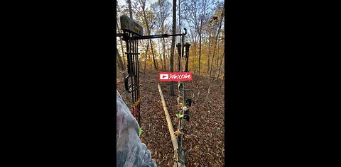 Hunting stereotypes