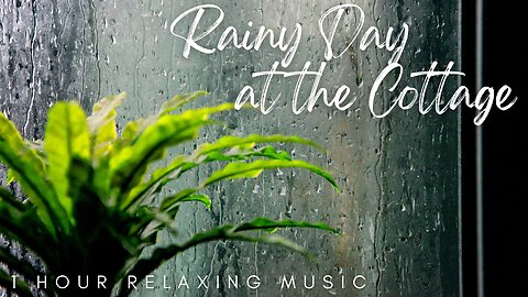 Rainy Day at the Cottage