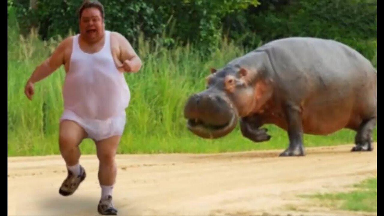 Funny Animals and Peoples 🤣🤣🤣