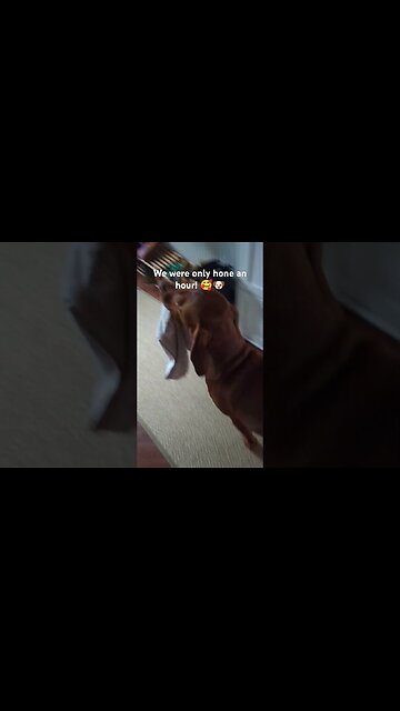 1 sec without you!🐶💜