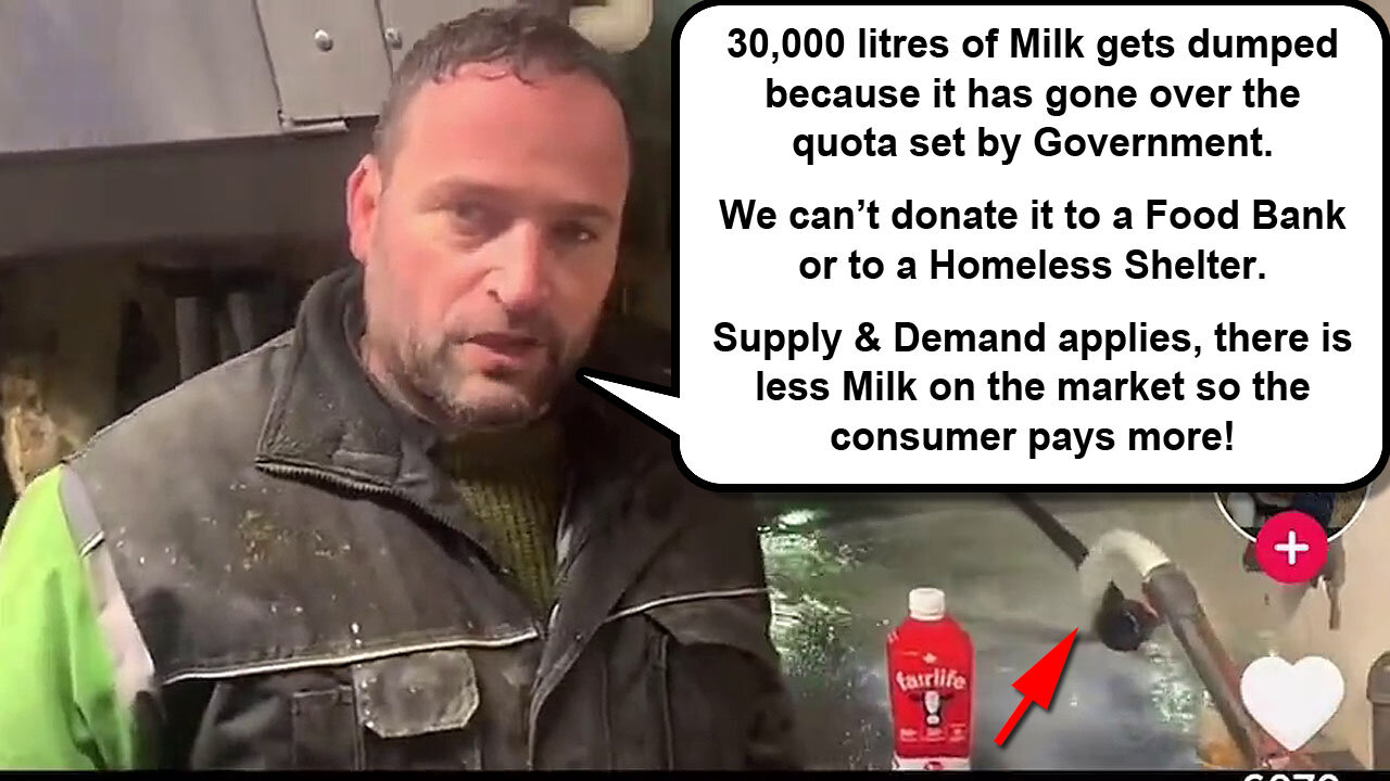 Canadian Dairy Farmer explains why Milk and Cheese Skyrocketed in Price! 🐄🥛🧀📈💸