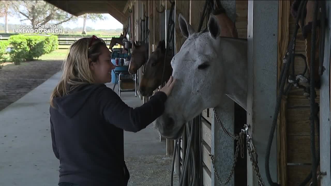 In heart of Lakewood Ranch, Sarasota Polo Club brings professionals from all over