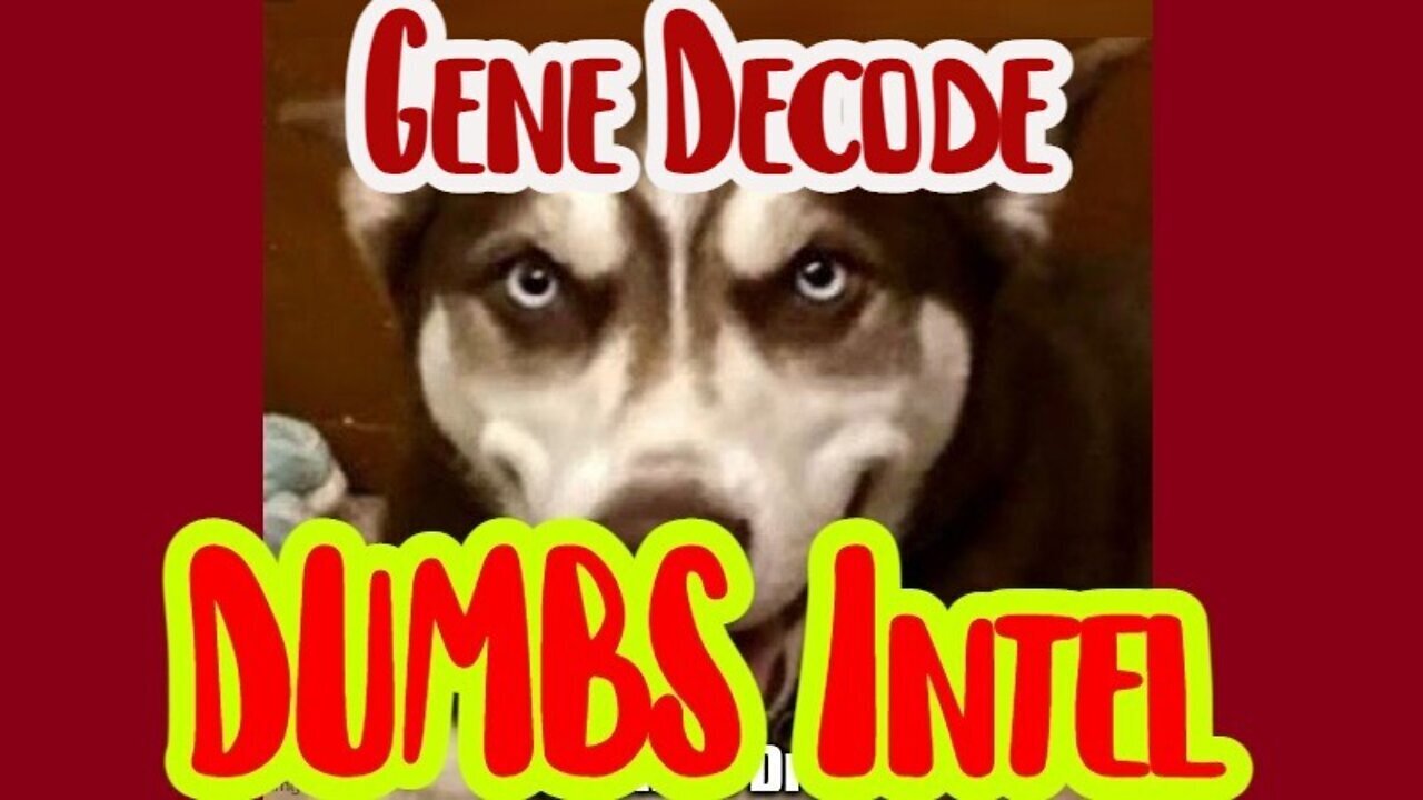 Gene Decode: Dumbs Intel 2/4/23..