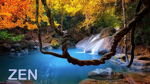 Zen Music and Sounds of Nature - Remove Stress and Rest the Mind