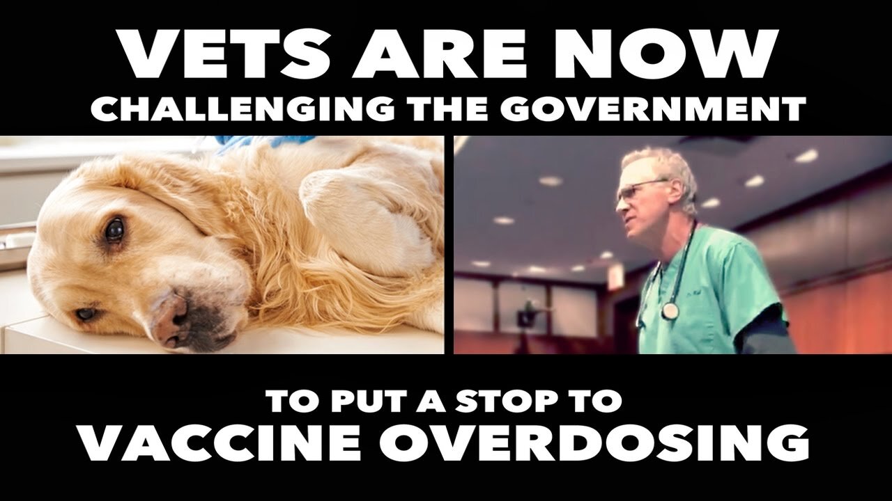 The Dangers of Vaccine Overdosing Pets