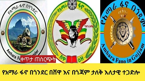 የአማራ ፋኖ በጎንደር በሸዋ እና በጎጃም ታለቅ እለታዊ ተጋድሎ