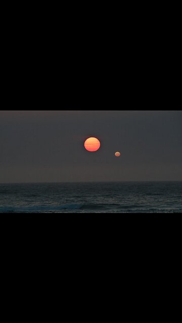 THEY HAVE BEEN HANGING AROUND MORE SINCE 2016