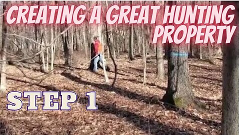 Blue Mountain Project Step 1 - Mark a Regeneration Harvest