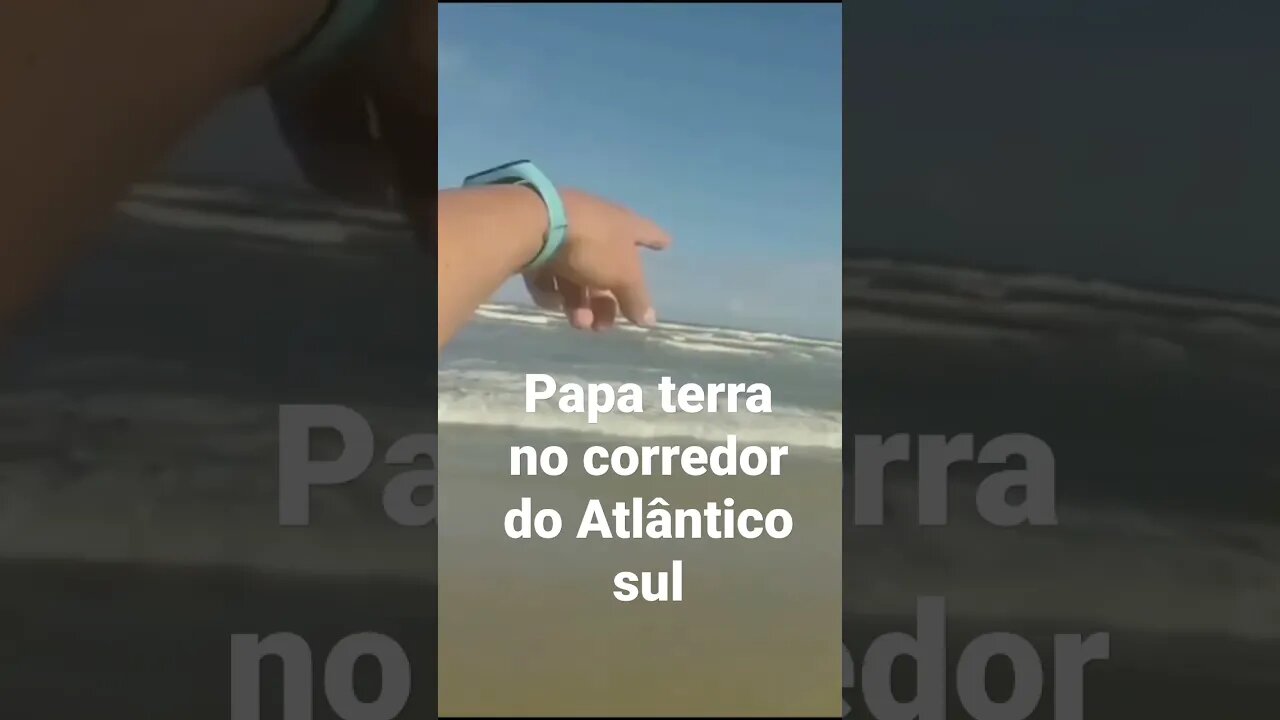 Pesca de peixe papa terra no corredor do mar no litoral norte do RS