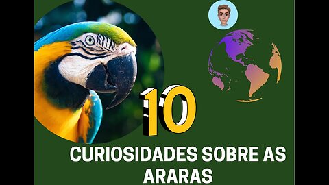 Dez curiosidades sobre as Araras