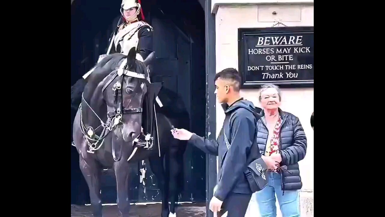 TikToker learns hard lesson after harassing a Kings Guard horseman in London.