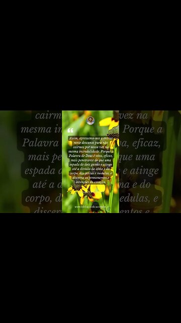 Hebreus 4,11-12 - Assim, apressemo-nos a entrar neste descanso para não cairmos por nossa vez na...