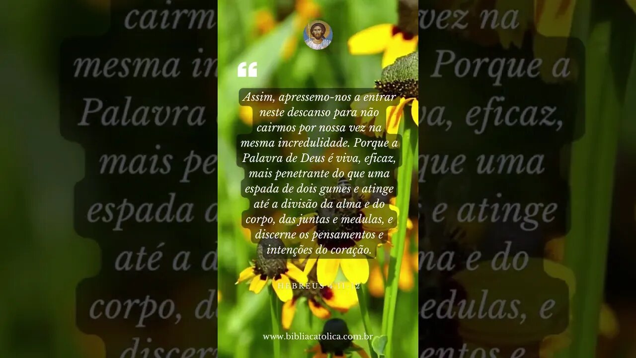 Hebreus 4,11-12 - Assim, apressemo-nos a entrar neste descanso para não cairmos por nossa vez na...