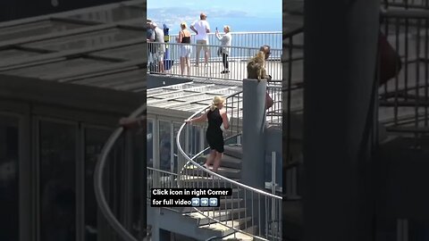 Monkey Tips Gibraltar #shorts