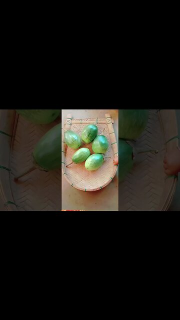 😂😂😂😂😂😂😂😂😂@BENGALCOOKING #shorts #youtubeshorts #viral #viralshorts #trending #trendingshorts #Funny