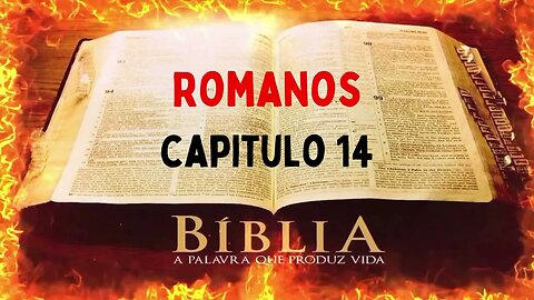 Bíblia Sagrada Romanos CAP 14