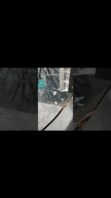 Word of the day #escarcha #frost