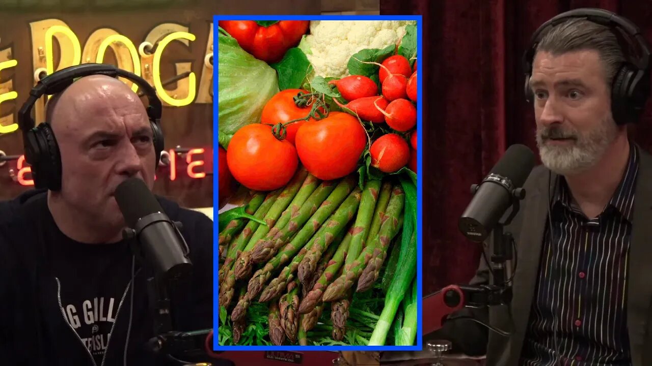 The Food Problem | Joe Rogan Experience w/ Peter Zeihan