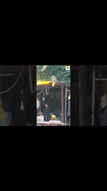 When your mom hides chocolate from you #spoty #bbcbreakfast #lorraine #prince #nationallottery #bbcq