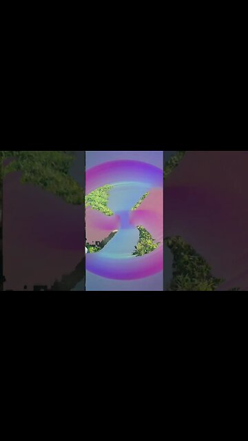 #riffin #epiphoneguitars #visuals #flstudio #siamesecat